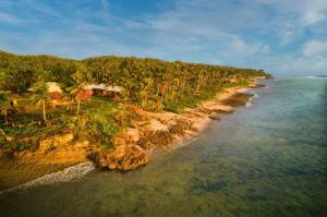 BurgosVilla Malinao Oceanview Resort - Deluxe bungalow的享有树木繁茂的海滩和海洋的空中景致