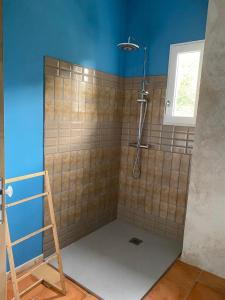 PujolsDameChouette的带淋浴的浴室,拥有蓝色的墙壁