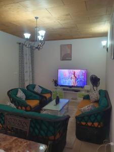 Village des Aviateurs的客厅配有2张沙发和1台平面电视