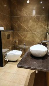 齐拉克普尔HOTEL PEARL WOOD (A unit of olive hospitality group)的一间带水槽的浴室和位于柜台上的卫生间