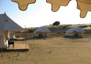 斋沙默尔奇拉芭旺酒店的田间中方的一组帐篷