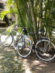 马林迪Great Rustic Escape 3 bedroom Villa, Casuarina, Malindi的两辆自行车停在棕榈树旁边