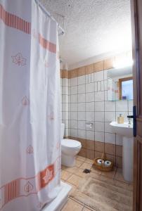 阿拉霍瓦Nelfi's apartments I - Αράχωβα的一间带卫生间和淋浴帘的浴室
