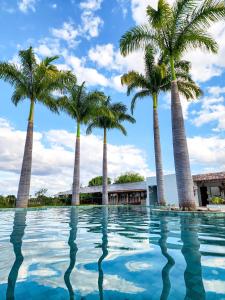 MartinsHotel Chale Lagoa Dos Ingas的一群棕榈树在游泳池里