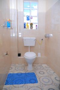 KisiiApartment in kisii Milimani的一间带卫生间和淋浴及窗户的浴室