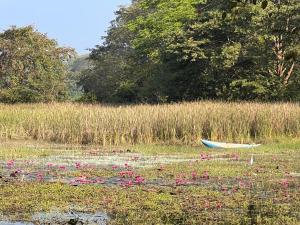 NikaweratiyaMagalle Wewa Villa的一只小船坐在田野里,花朵粉红色