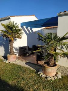 奥雷龙圣皮耶尔Maison de vacances : Bord de mer的两棵棕榈树,在房子旁边盆子