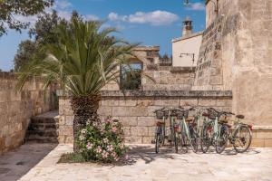 法萨诺Masseria Torrelonga的一群自行车停在花朵满墙的墙上