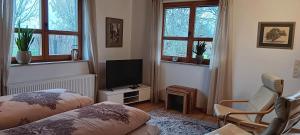策勒Studioferienhaus Herzogstadt-Celle的一间卧室设有一张床、一台电视和窗户。