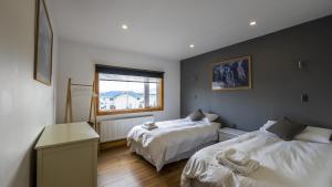 纳塔列斯港Hostel Belator Experience的一间卧室设有两张床和窗户。