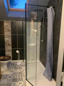 费康Chalet Low Rider S的浴室设有玻璃淋浴间和卫生间