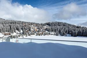 阿罗萨Postresidenz am See的雪地中滑雪胜地的景色