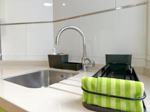 马拉加Apartamento Mirador del Mediterráneo的厨房配有水槽和绿色海绵架