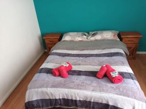 里奥加耶戈斯Lo de fernando 1的卧室的床上有两张红色袜子