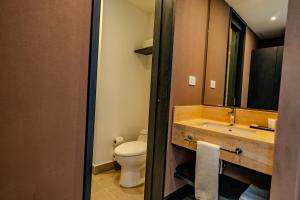 圣地亚哥Hampton By Hilton Santiago Las Condes的一间带水槽、卫生间和镜子的浴室