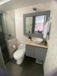 巴兰基亚Apartamento norte Barranquilla 2 habitaciones的一间带卫生间、水槽和镜子的浴室