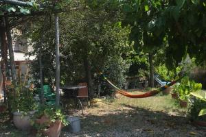 GrottiCountry house at Podere Noceto的花园里挂在树上的吊床