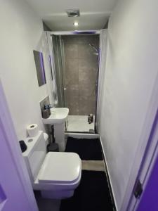 沃特福德Hornet's Hideout的浴室配有卫生间、盥洗盆和淋浴。