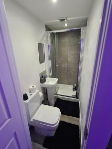 沃特福德Hornet's Hideout的一间带卫生间和水槽的小浴室