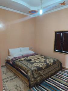 梅尔祖卡Nomad Bivouac的卧室配有一张床