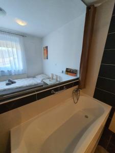 圣马丁娜穆里Apartment Vesna Toplice Sveti Martin的带浴缸和床的浴室