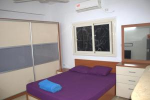 卢克索Abeer Guest House的一间卧室设有紫色的床和窗户