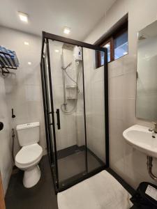 ManiwayaIslas Moriones Beach Resort的带淋浴、卫生间和盥洗盆的浴室