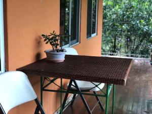 CarrillosSERENITY BY NATURE的坐在门廊上的桌子和盆栽植物