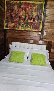 克里比Le Chalet Kapélet的床上有两张绿色枕头