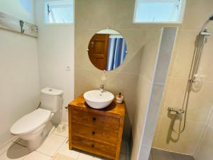 乌图罗阿Bungalow Tiare的一间带水槽、卫生间和镜子的浴室