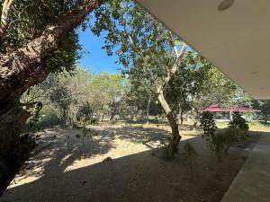 布桑加Magalong Villa at Holy Land in Busuanga的享有公园和树木的景色