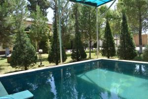 泰尔梅兹ADMIRAL的一座树木繁茂的庭院内的游泳池