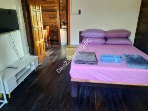 巴东勿刹DanZaStay1@BC Nearby Thai Border的卧室配有粉红色的床和电视。