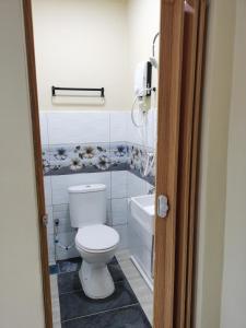 关丹Roomstay Villa Tok Wan的浴室配有白色卫生间和盥洗盆。