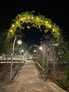 锡瓦Dream Lodge Siwa دريم لودج سيوة的夜间在人行道上带灯的拱门