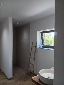 班什La chambre des daines的一间带白色水槽和梯子的浴室
