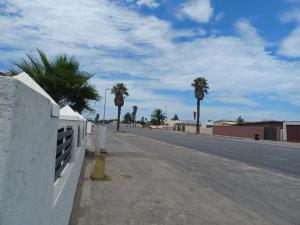 鲸湾港Carlo's Boutique Guesthouse的一条空的街道,在路边种有棕榈树