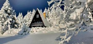 圣科维斯Chata Čenkovice的雪中小屋,有雪覆盖的树木