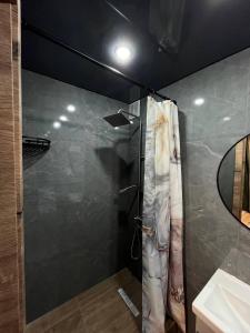 彼得罗巴甫洛夫斯克DEMAL HOTEL的带淋浴和盥洗盆的浴室