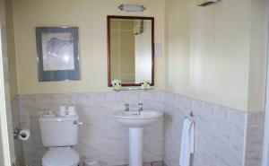 阿斯博伊Darnley Lodge Hotel的一间带水槽、卫生间和镜子的浴室