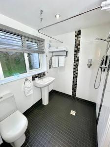 安姆罗斯豪斯曼斯通旅馆的一间带卫生间和水槽的浴室