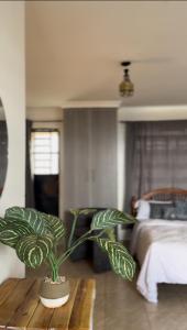 内罗毕Rooftop Studio Apartment - Mirema的一间卧室,配有一张床和一张桌子上的植物