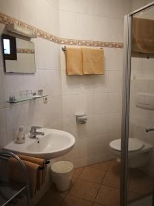 Wallenborn兰德豪斯艾姆布鲁贝尔宾馆的一间带水槽和卫生间的浴室