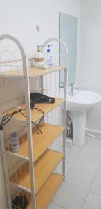 乌兰巴托Gandan Terrace Guesthouse的浴室设有架子、水槽和镜子