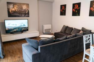 地拉那Signature apartment 5的带沙发和平面电视的客厅