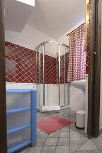 奥斯塔小谢夫特酒店的带淋浴的浴室和红色地毯。
