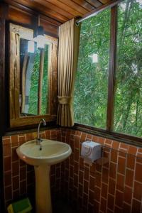 塔巴南Abing Dalem - Villa Nangka的一间带水槽和窗户的浴室