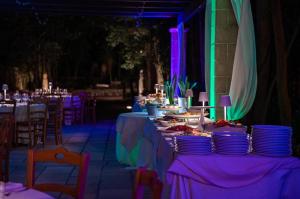 斯蓬加诺Relais Casina Copini的一张为派对而设的桌子,配有紫色和绿色的灯光