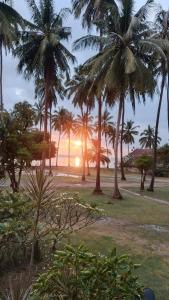 苏梅岛Links Sunset Beach House的海滩上一群棕榈树,日落