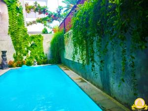 沙努尔3Bedroom Villa Kepiting Sanur的后院的游泳池,有青春藤